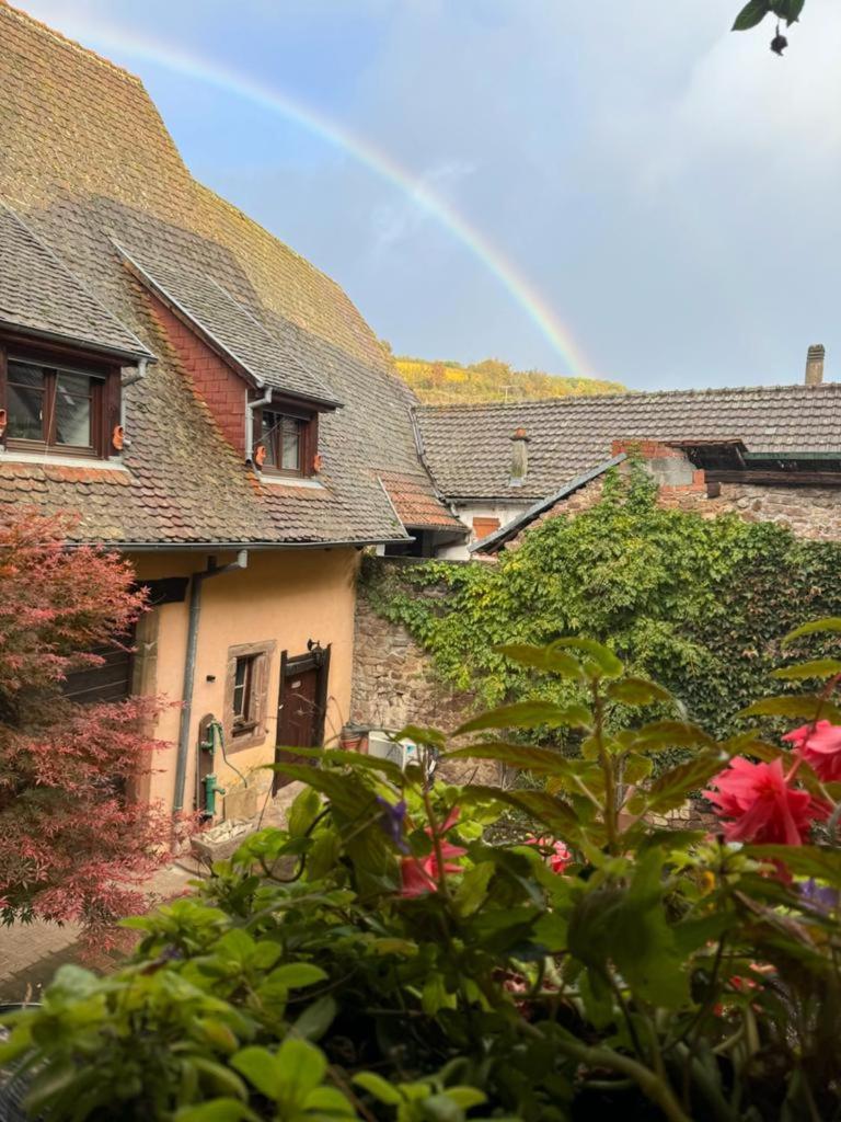 Grand Gite Dans Maison Alsacienne Historique Gueberschwihr Luaran gambar