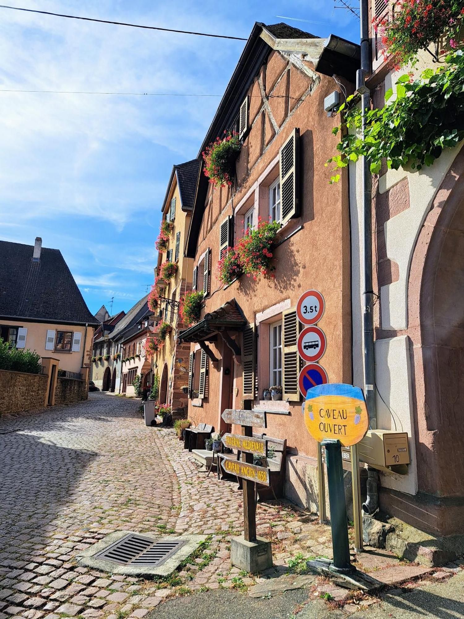 Grand Gite Dans Maison Alsacienne Historique Gueberschwihr Luaran gambar